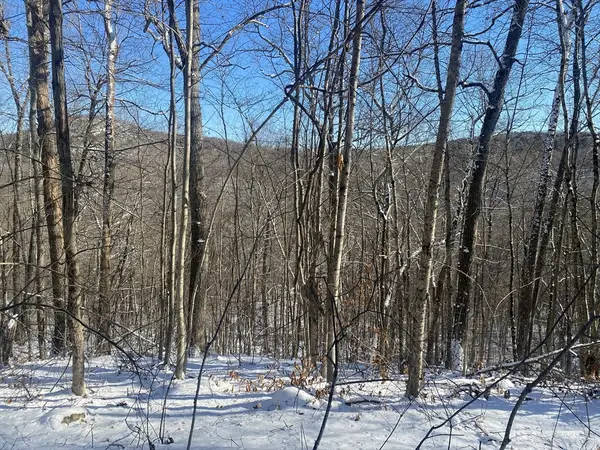 593 Old Warren Road, Palmer, MA 01069