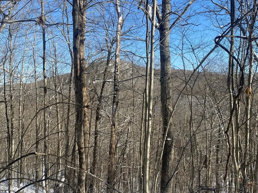 593 Old Warren Road, Palmer, MA 01069 - Image #3