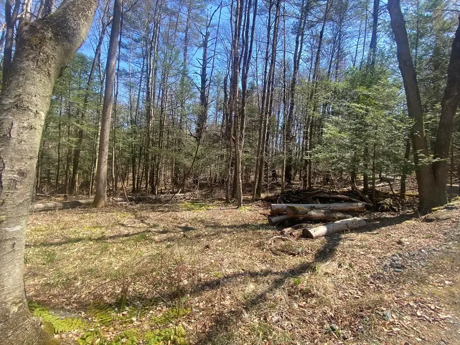 0 Schaefer Way, Charlemont, MA 01339 - Image #3