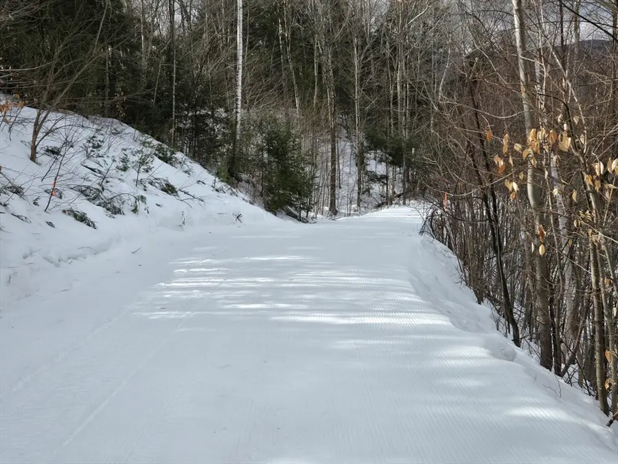 16 Yellow Birch Cir, Lincoln, NH 03251 - Image #3