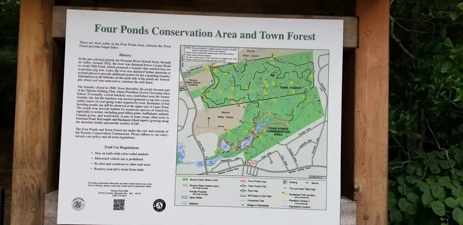 3 1st Street, Pocasset, MA 02559 - Image #2