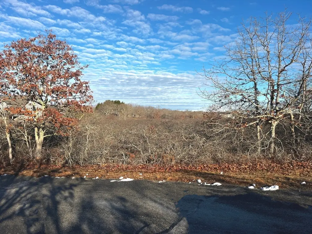 25 Coffins Field Rd, Edgartown, MA 02539 - #1