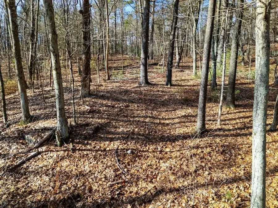 429 Howard Street, Northborough, MA 01532 - Image #3