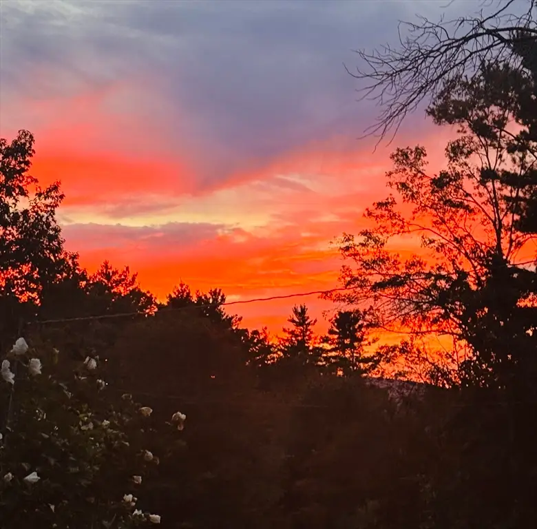 Lot 92-00 White Loaf Rd, Southampton, MA 01073 - Image #1