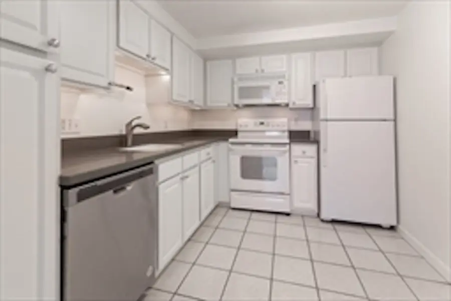 329-1 Harvard Street #1, Cambridge, MA 02139 - Image #2