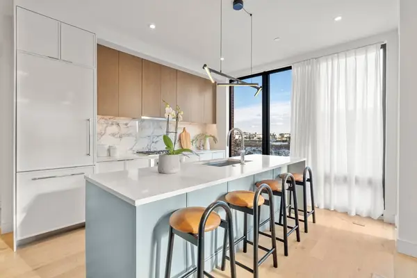 595 Albany Street #201, Boston, MA 02118