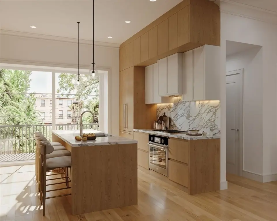 36 Milford Street #2, Boston, MA 02118 - Image #1