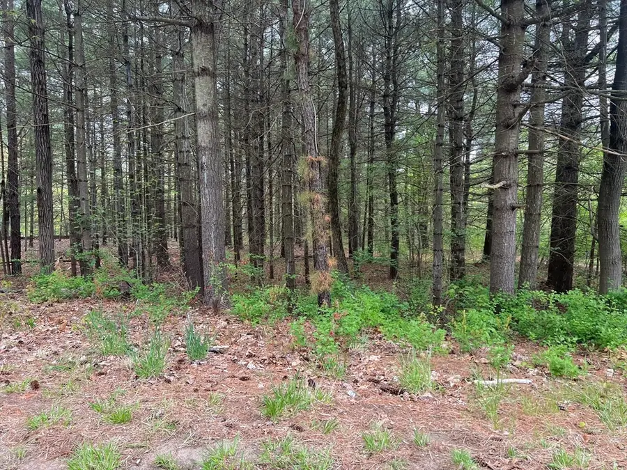 62-91 Lawrence Street, Palmer, MA 01069 - Image #3