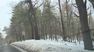 Lot B Willow Road, Boxford, MA 01921 - #1