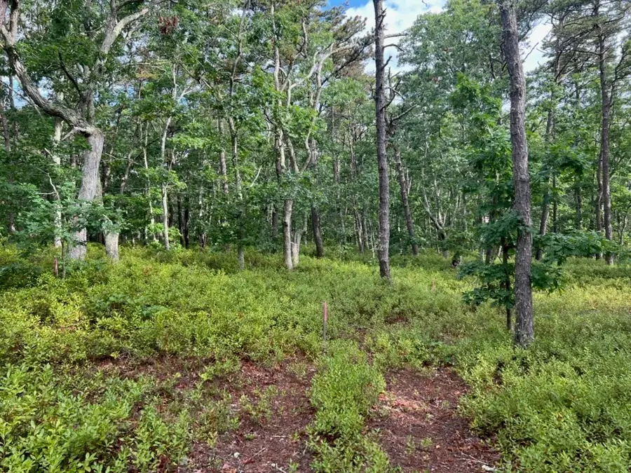 37 Oak Valley Rd, Wellfleet, MA 02667 - #3