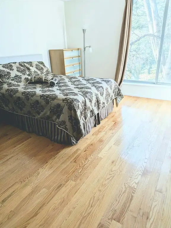 99 Pond Ave #409, Brookline, MA 02445