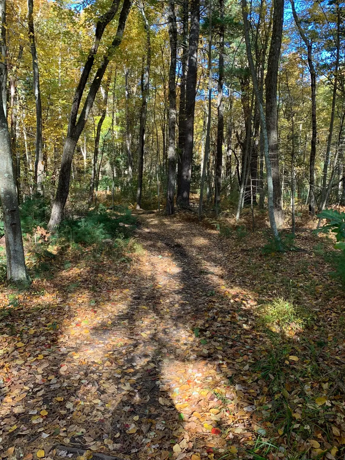90 Maple St, Sherborn, MA 01770 - #1