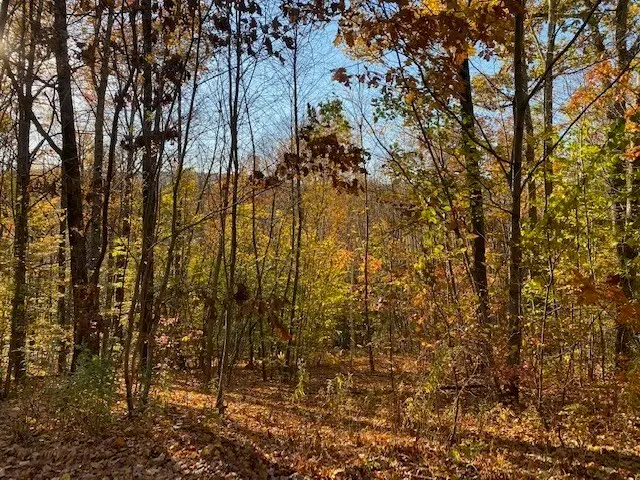 539 Fox Hill Road, Bernardston, MA 01337 - #1