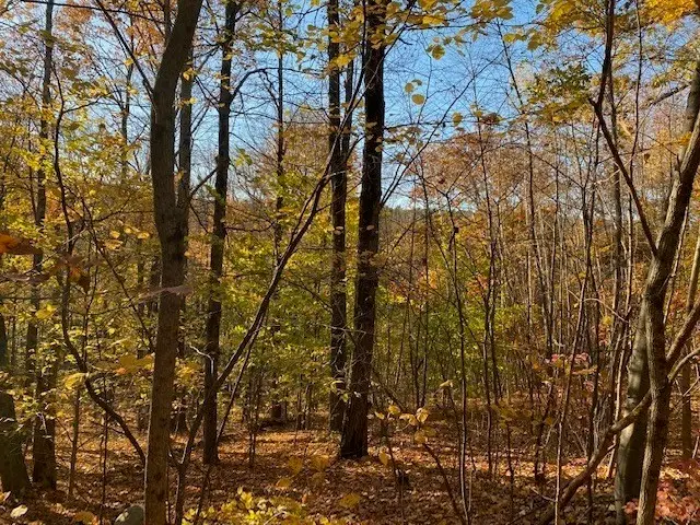539 Fox Hill Road, Bernardston, MA 01337 - #2