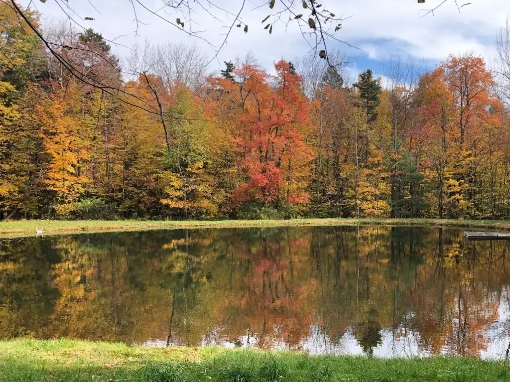 0 Gentian Hollow Rd, Becket, MA 01223 - #1