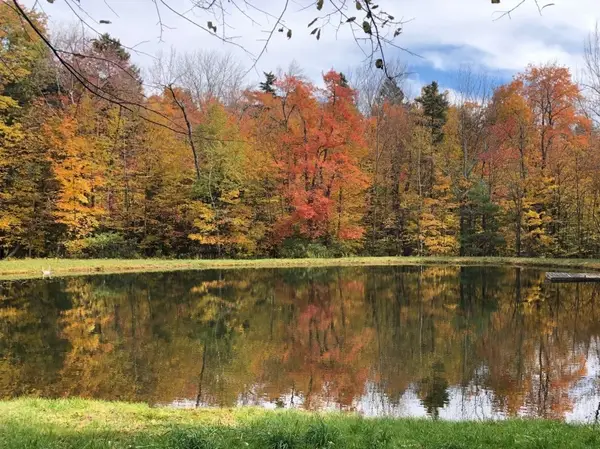 0 Gentian Hollow Rd, Becket, MA 01223