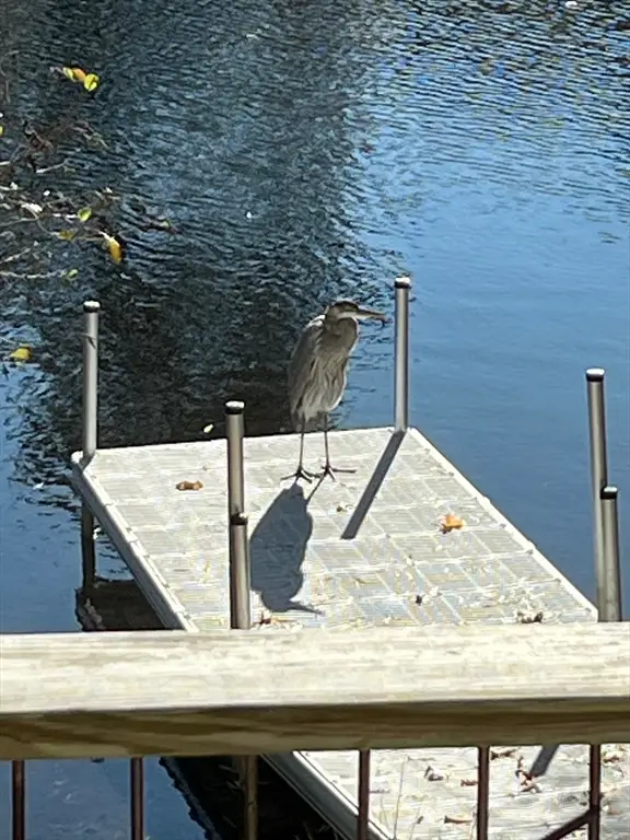 83 Lake Dr, Centerville, MA 02632 - #3