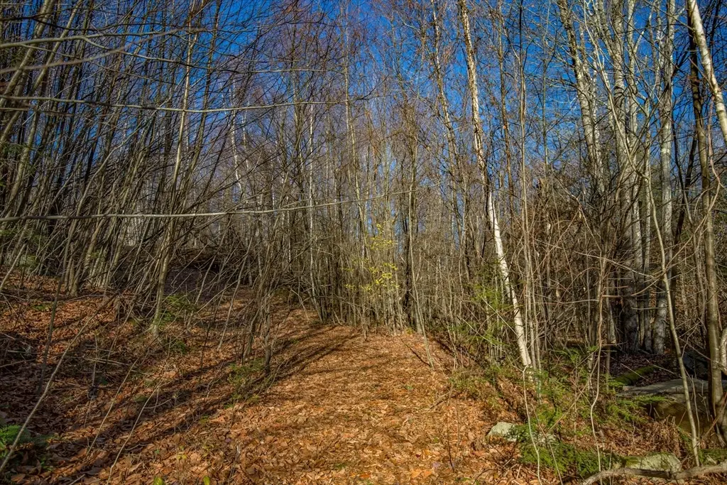 0 Goose Pond Road, Tyringham, MA 01264 - #1