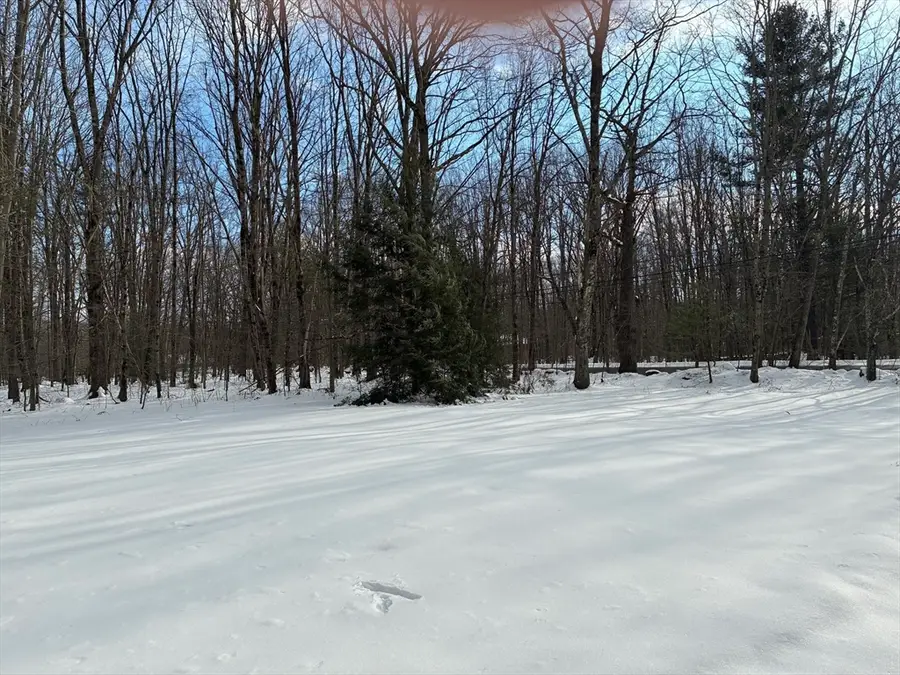 316 Main Road, Chesterfield, MA 01012 - #2