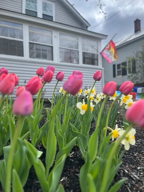 71 Washington St, Greenfield, MA 01301