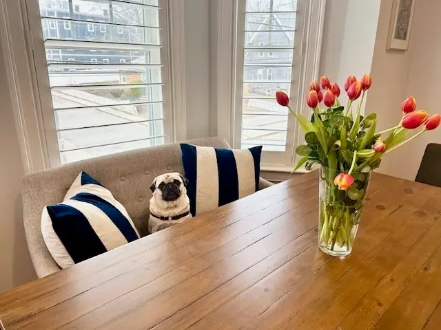 40 Catherine St #2, Boston, MA 02131 - #3