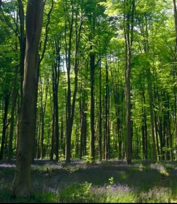 LOT 1 Winterberry Ln, Easton, MA 02256