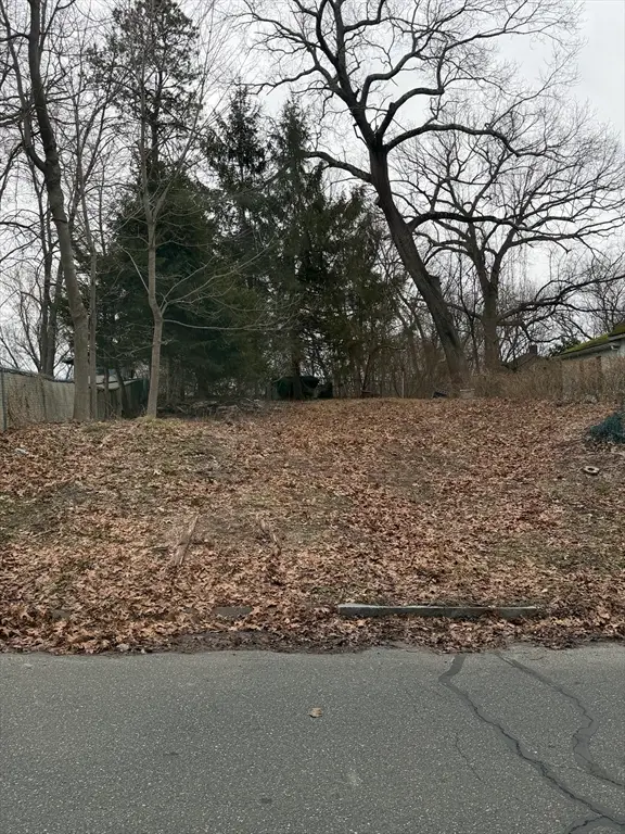 0 Laurelton St (es), Springfield, MA 01101 - #1