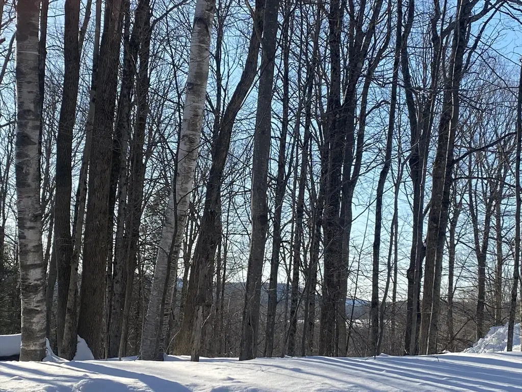 Lot 15 Colebrook River Rd, Tolland, MA 01034 - #1