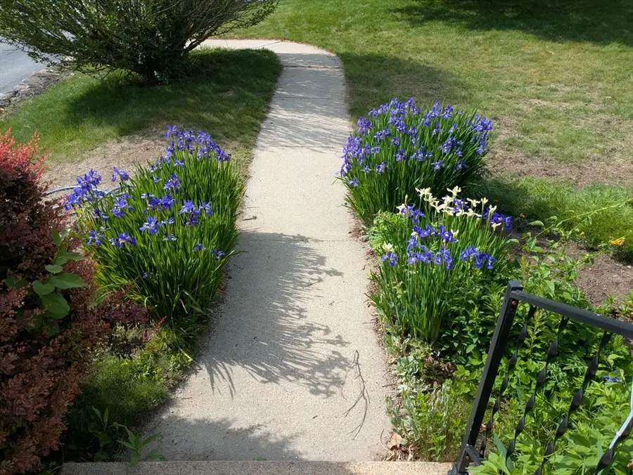 17 Keryn Ct, Northbridge, MA 01588 - #3