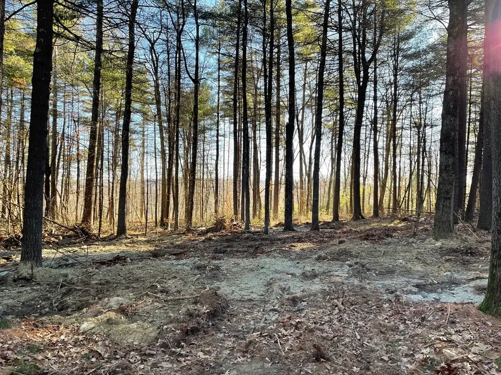 Lot 38 Michael Sears, Belchertown, MA 01007 - #1