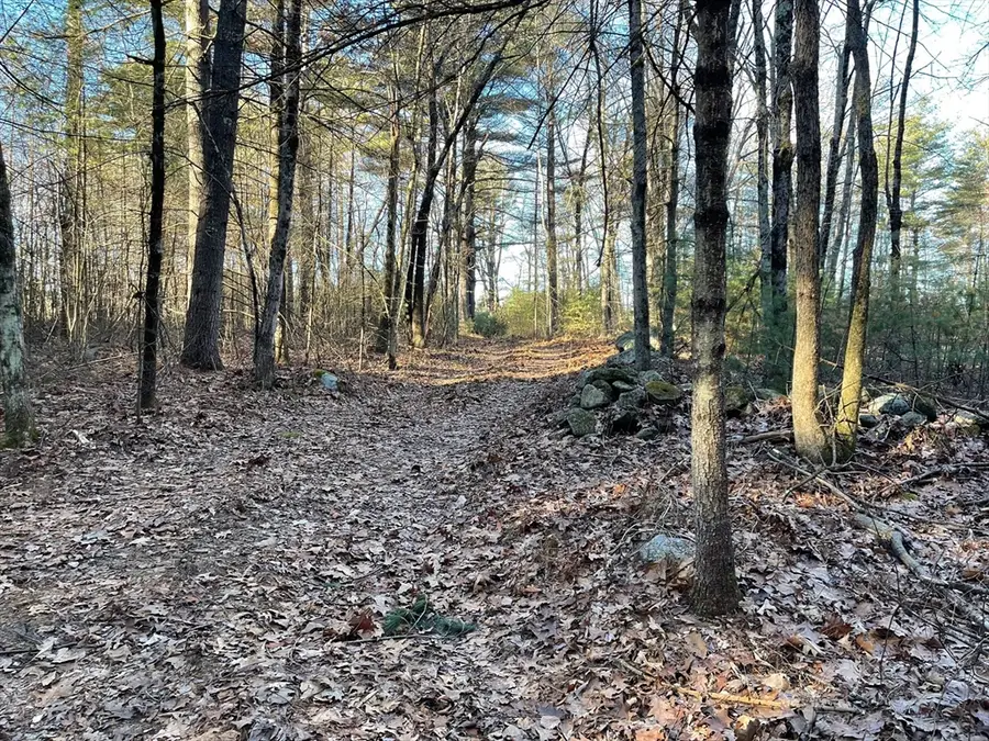 Lot 38 Michael Sears, Belchertown, MA 01007 - #3