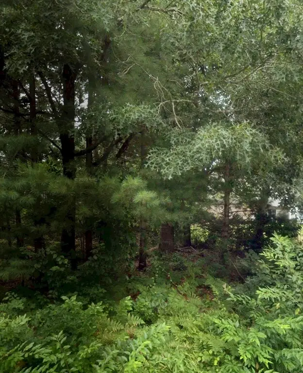 59 Park, East Wareham, MA 02538 - #1