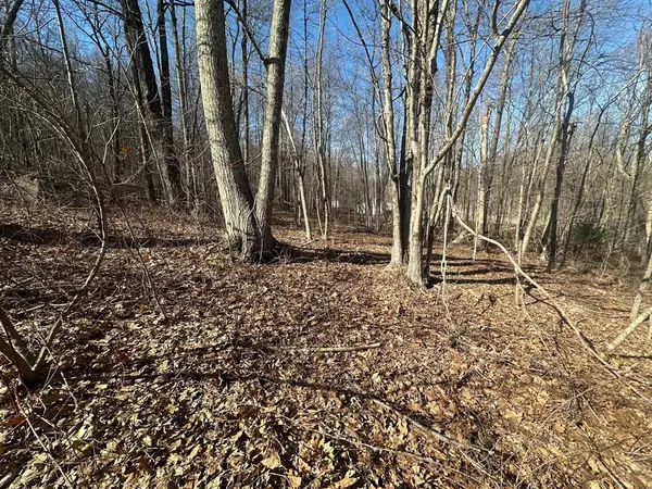 Lot 1 Woodhill Rd, Monson, MA 01057