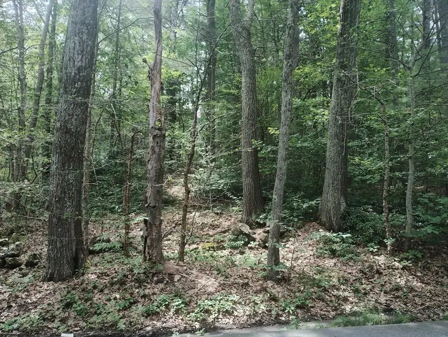 O0 Mixter, Holden, MA 01520 - #3