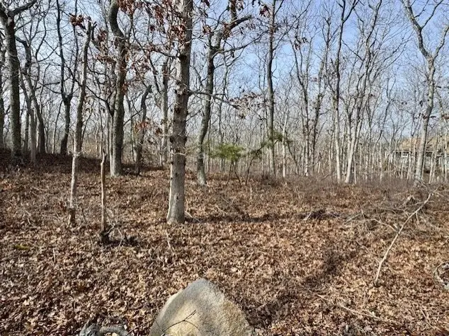 87 Whalers Walk, Edgartown, MA 02539 - #3