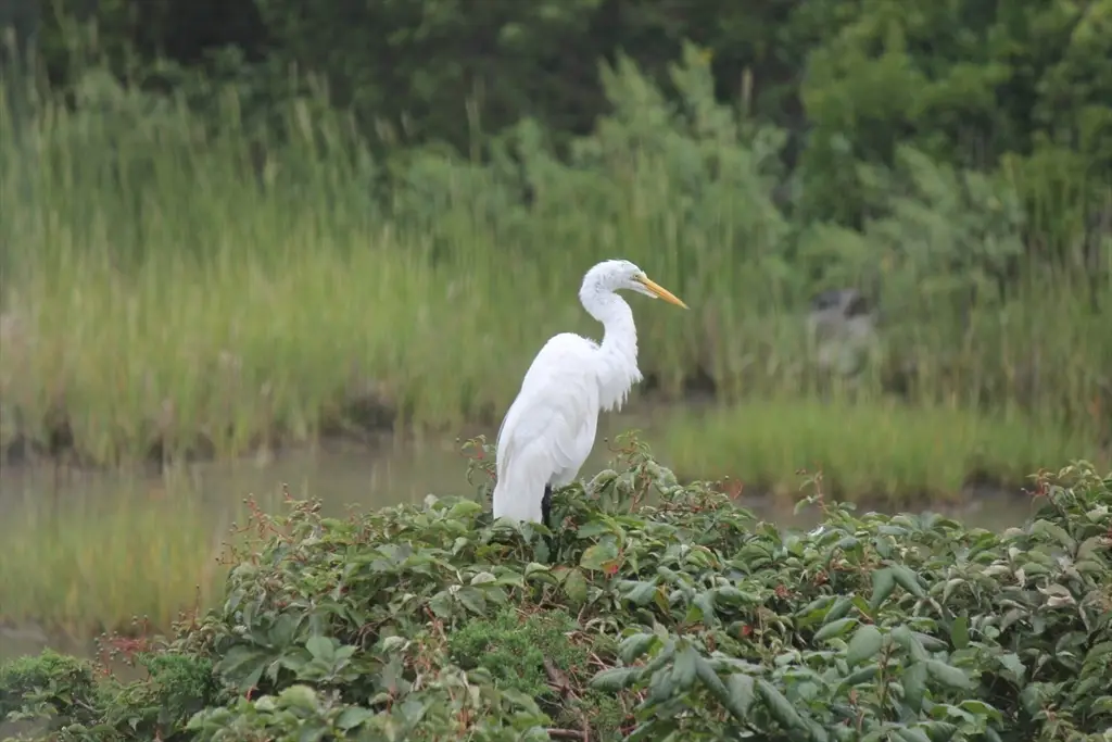 00 George Washington Boulevard, Hull, MA 02045 - #1