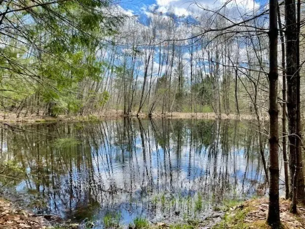 7-L New Athol Rd, Petersham, MA 01366 - #3