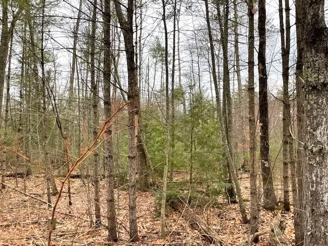 12-L New Athol Rd, Petersham, MA 01366 - #3