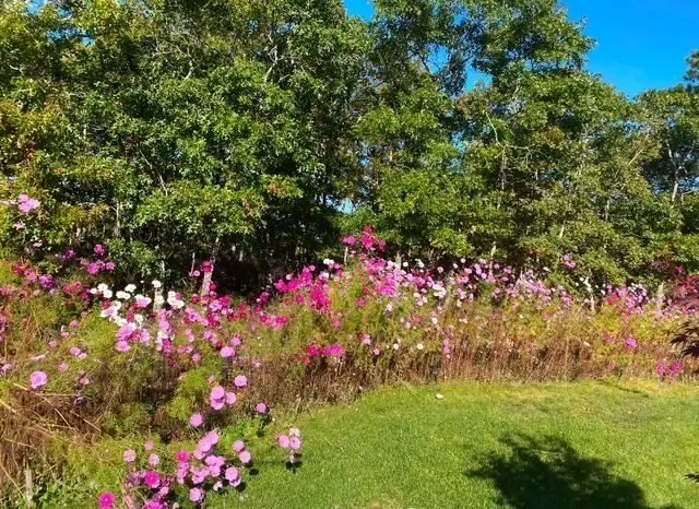 45 Snapping Bow, Plymouth, MA 02360 - #2