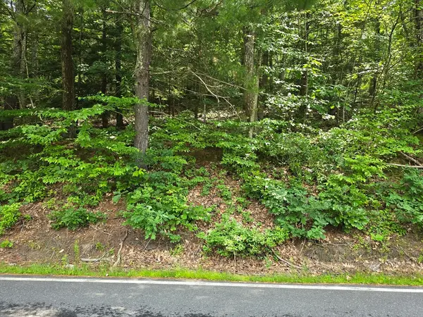 37 N Farms Rd, Williamsburg, MA 01039