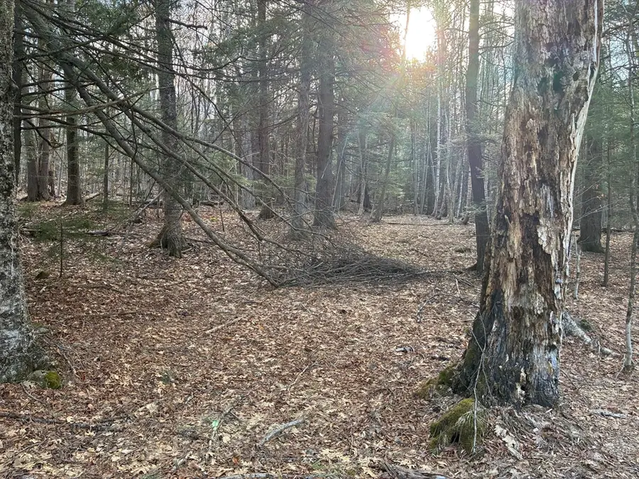 2 Leshure Rd, Rowe, MA 01367 - #2