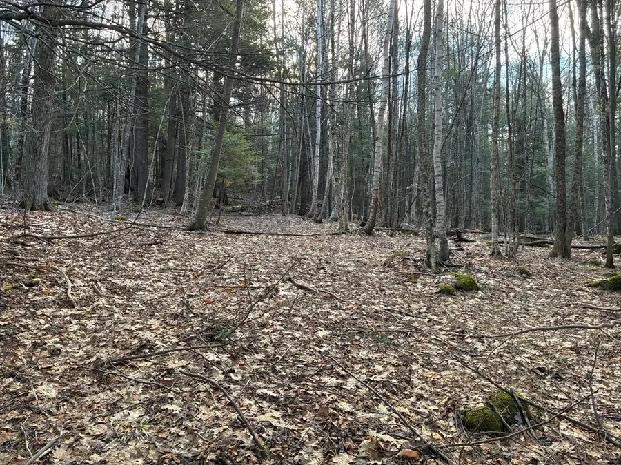 2 Leshure Rd, Rowe, MA 01367 - #3