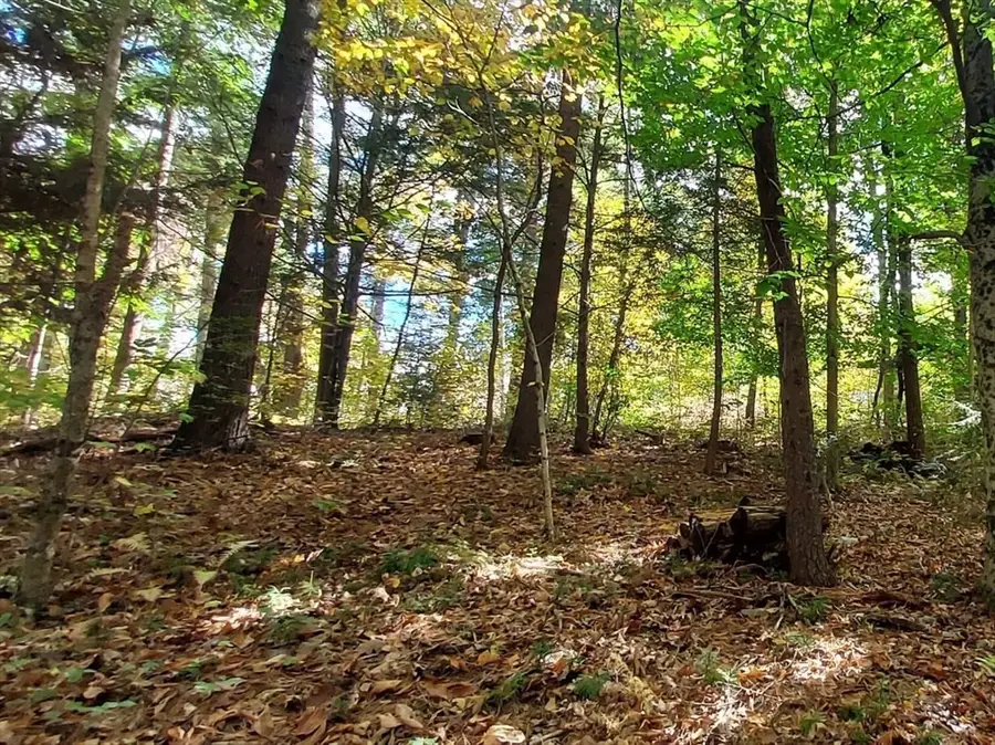 Lot 3 Harknesss Rd, Amherst, MA 01002 - #3