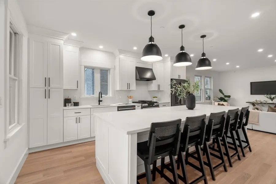 26 Adelaide Street #1, Boston, MA 02130 - #3