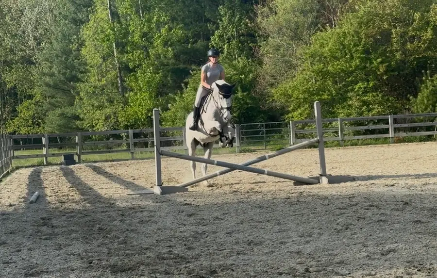 3 Shining Valley Cir, Medfield, MA 02052 - #2