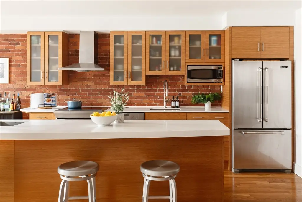 193 St Botolph #1, Boston, MA 02115 - #1