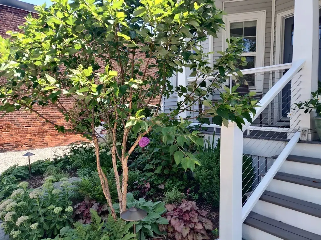 8 Lafayette St, Arlington, MA 02474 - #1