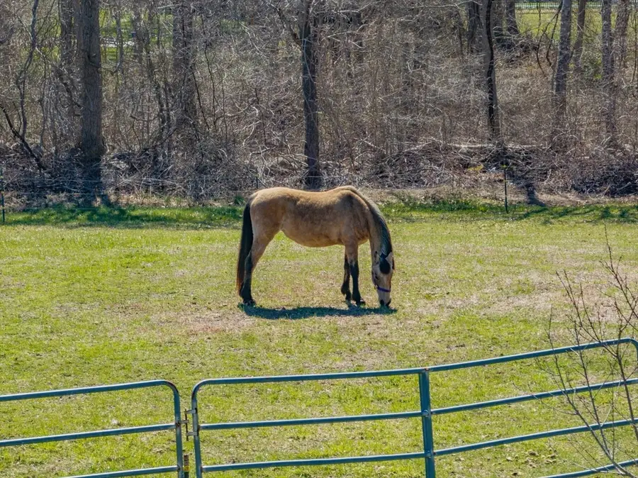 210 Charlotte White Rd, Westport, MA 02790 - #3