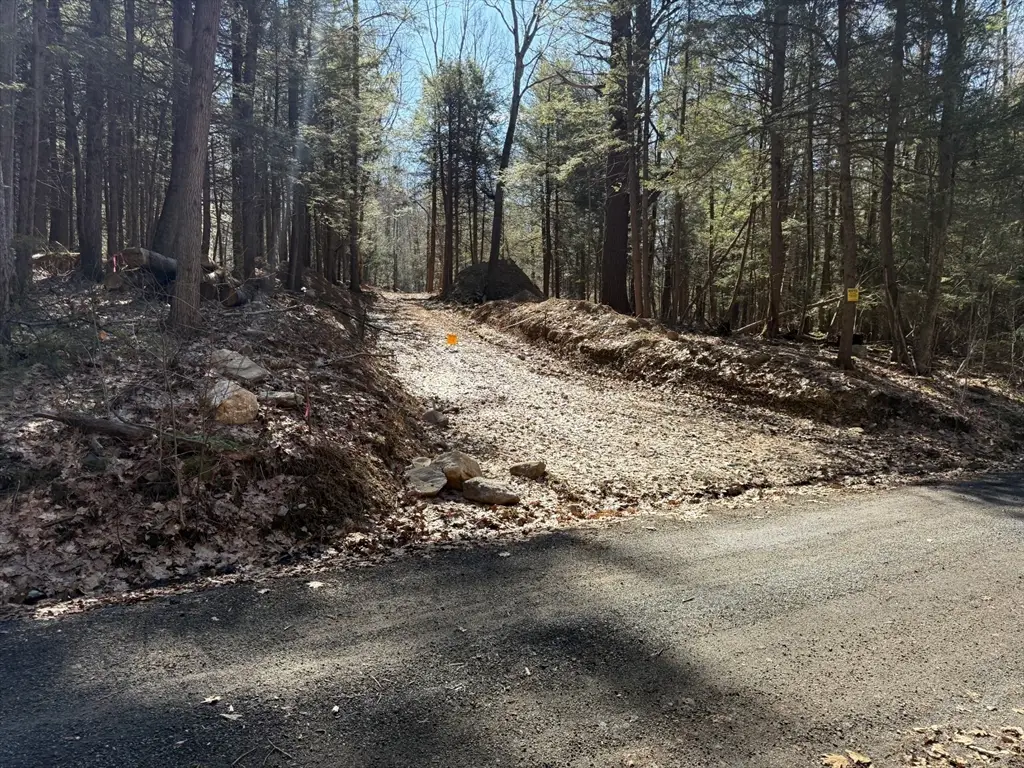 0 Old Chester Rd (rear), Blandford, MA 01008 - #1