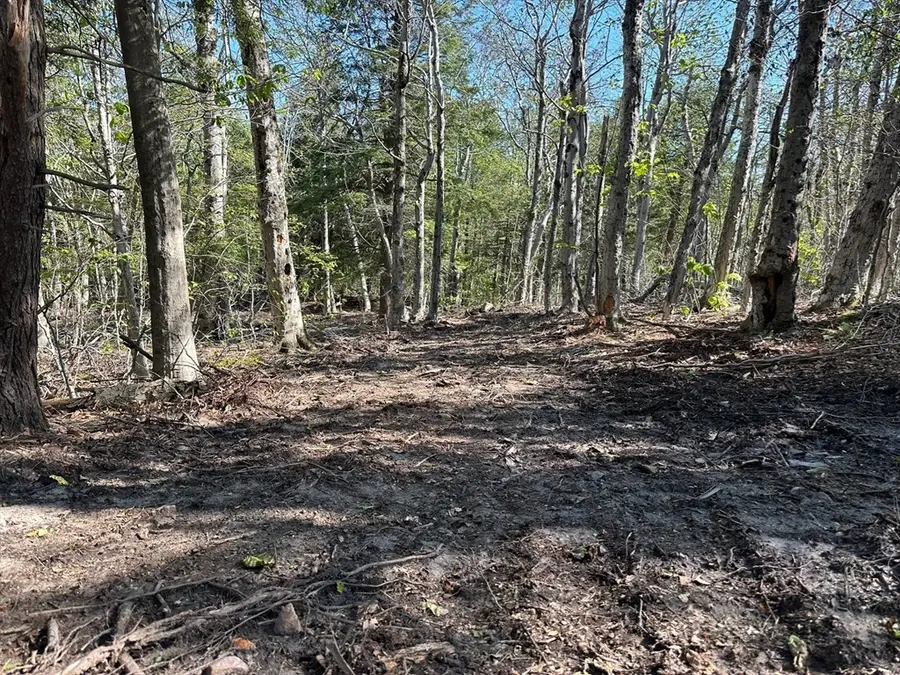 462 Old North Road, Worthington, MA 01098 - #3